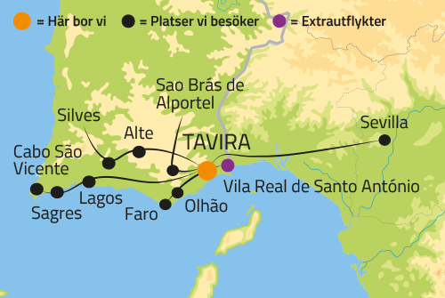 Geografisk karta över Tavira